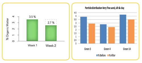 Roca graph 1