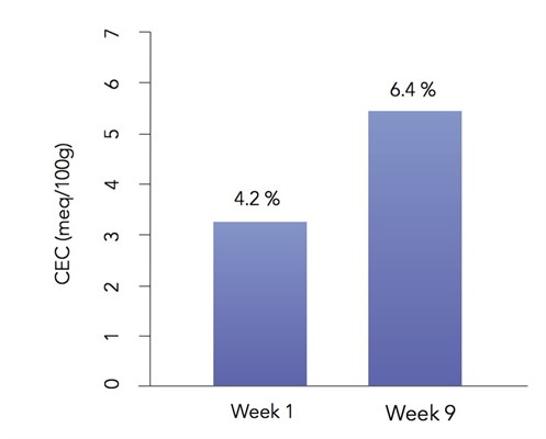 Roca graph 4