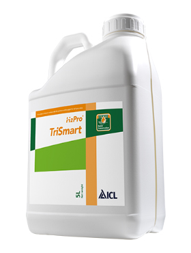 ICL Trismart