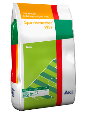 ICL Sportsmaster WSF Iron